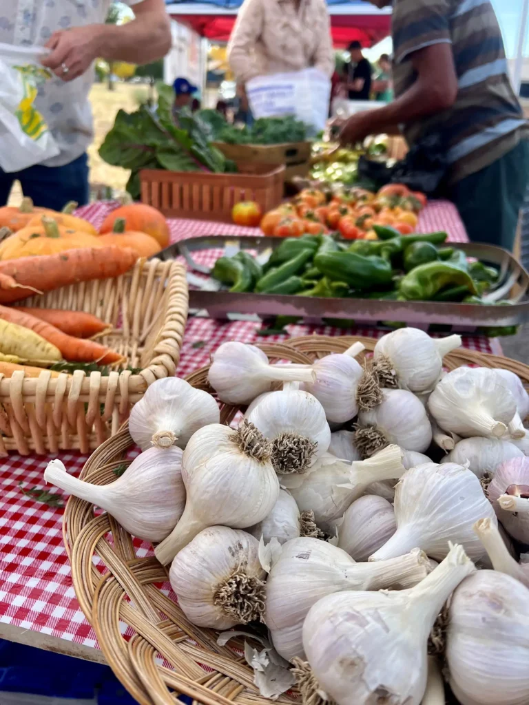 A closeup of produce available at a farmers market, featuring garlic, carrots, and fresh chile peppers.