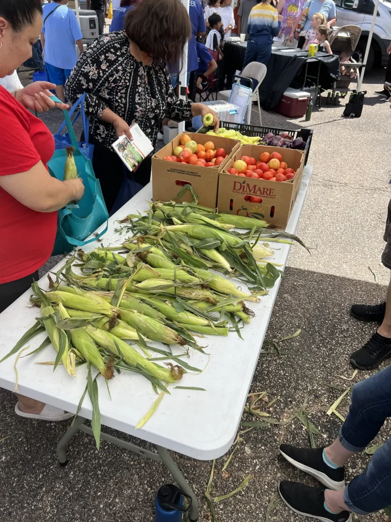 Corn and tomatoes displayed on a table at a farmers market.
