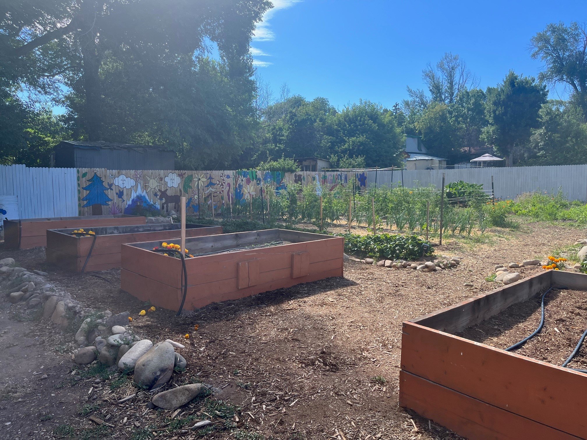   Their school gardens, supported by students from ages 3 - 18, produce thousands of pounds of fresh food, which are donated to local food pantries.  