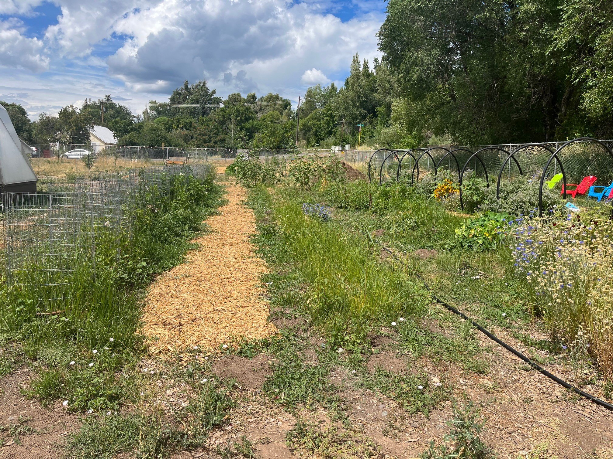   Community leaders coordinate a Plant-A-Row project for local gardeners, along with a Field2Fork project to encourage local production, purchasing, and consumption of healthy foods right in the valley.  