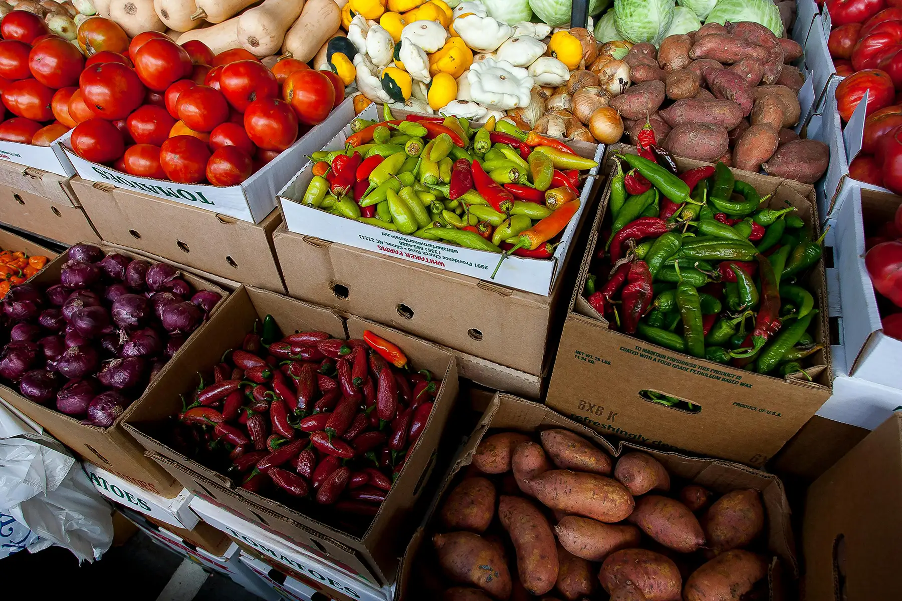 Multiple cardboard boxes full of fresh produce such as peppers and tomatoes.