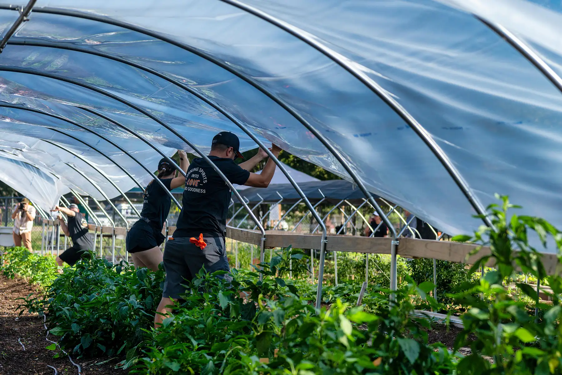 Two workers in a greenhouse with lots of lush produce